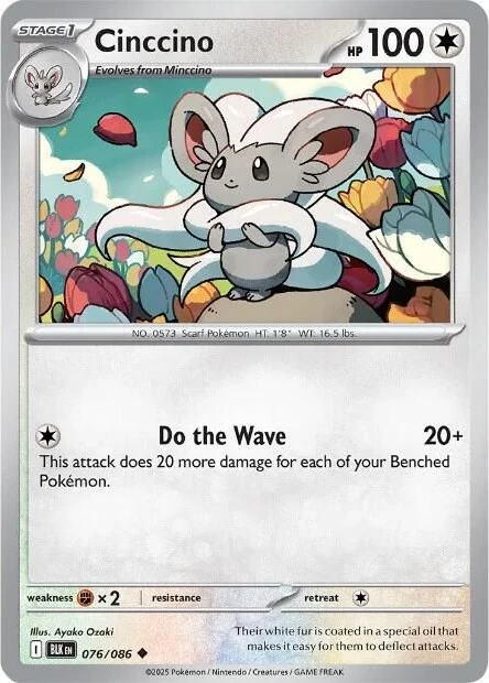 Cinccino