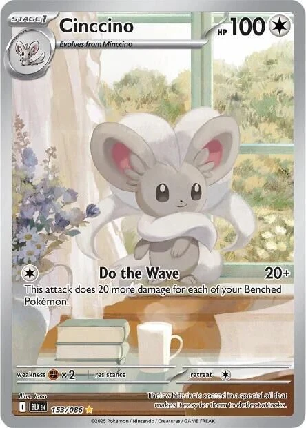 Cinccino