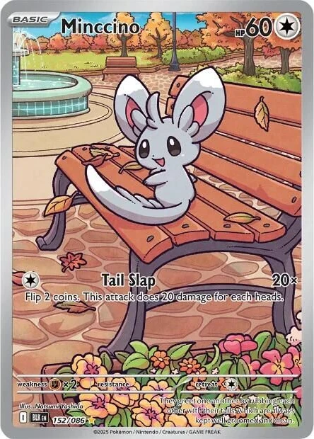 Minccino