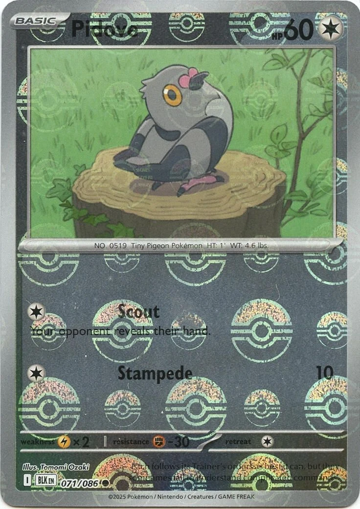 Pidove (Poke Ball Pattern)