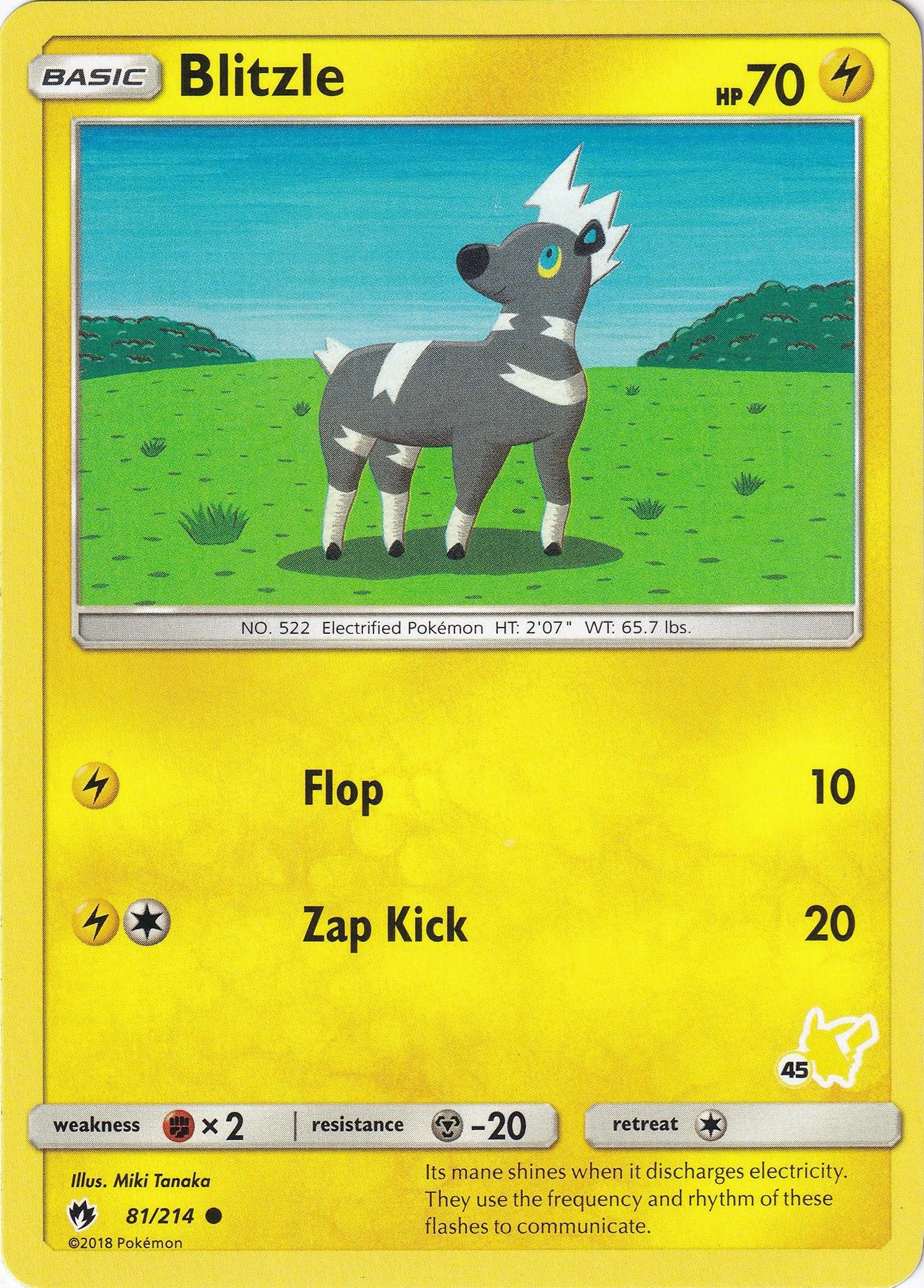 Blitzle - 81/214 (#45 Pikachu Stamped)