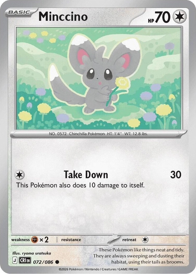 Minccino