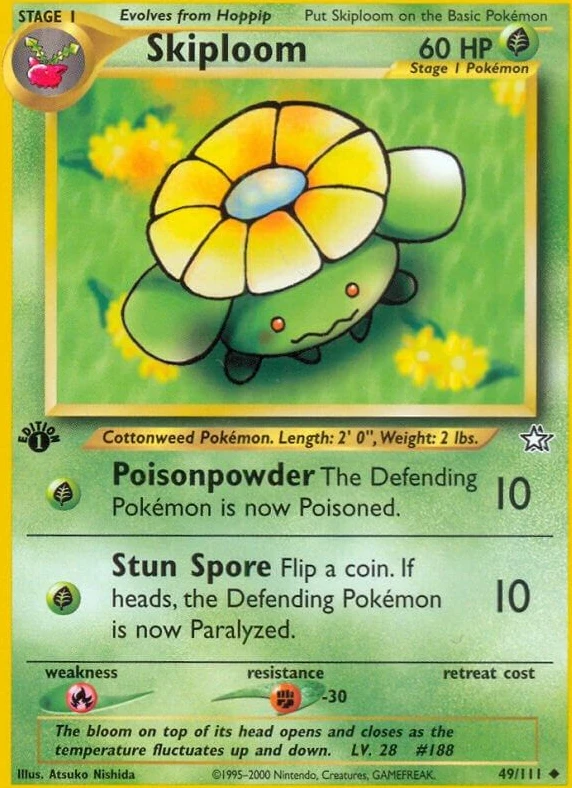 Skiploom