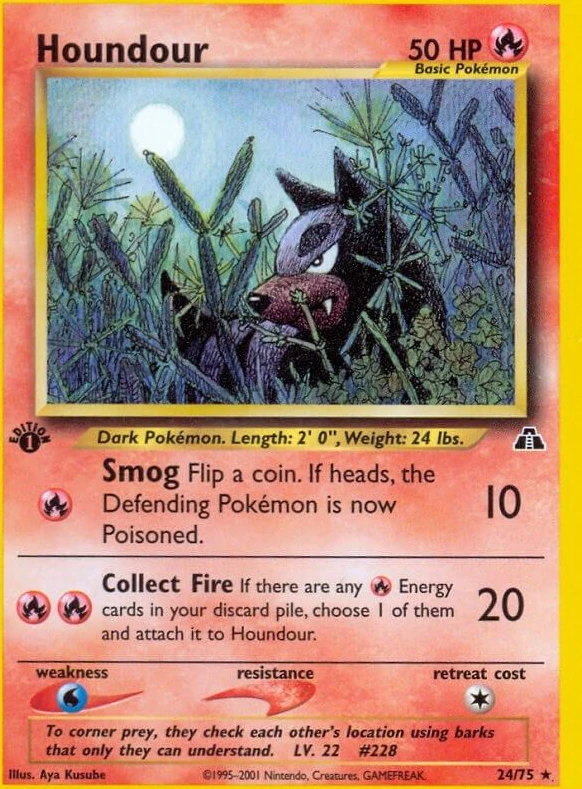 Houndour (24)