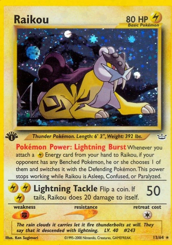 Raikou (13)