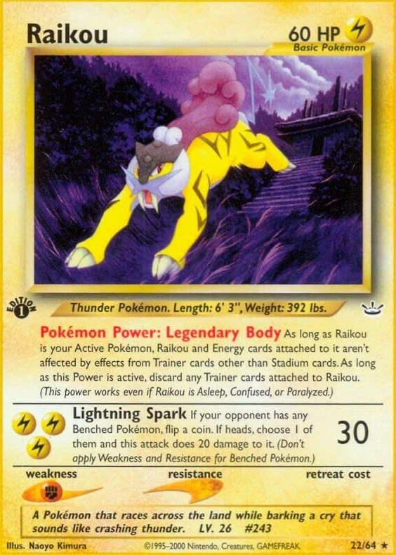 Raikou (22)