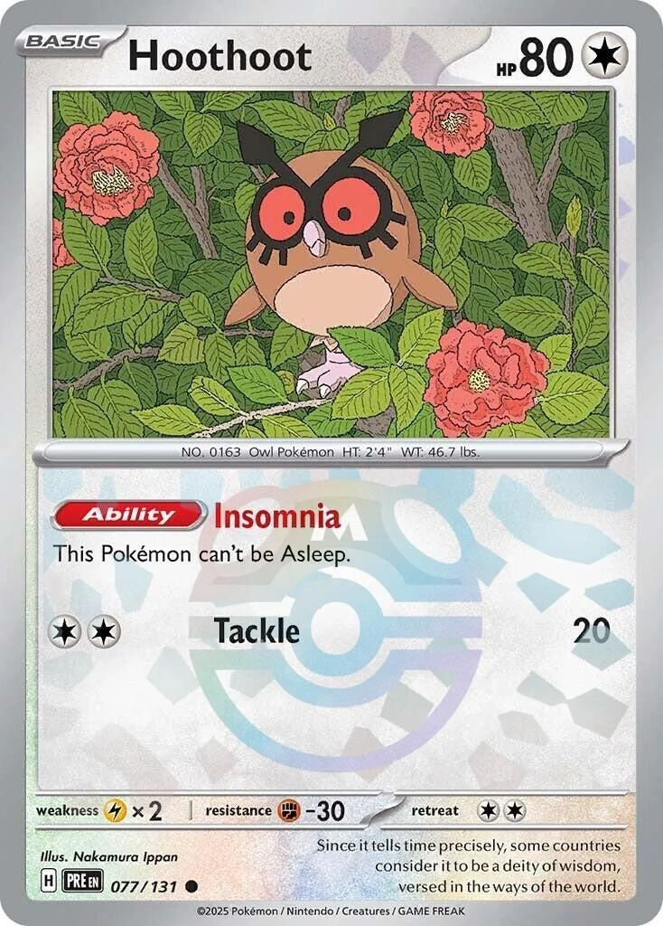 Hoothoot (Master Ball Pattern)