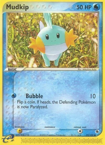 Mudkip