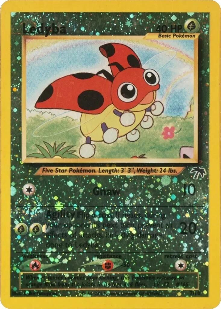 Ledyba
